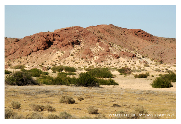 Mojave River between Barstow and Yermo