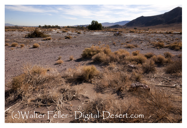 Immigrant Point, Newberry Springs