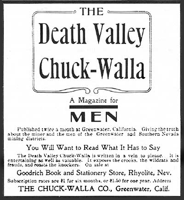 Death Valley Chuckwalla