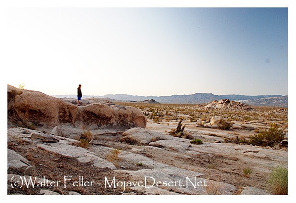Photo of exposed bedrock in Mojave Desert
