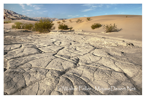 photo of dune blowout in Mesquite Flats Dunes, Death Valley National Park