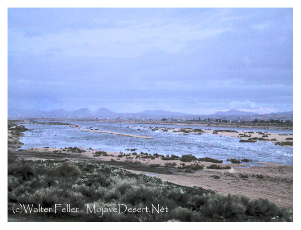 flash flood in the Mojave River between Hesperia and Apple Valley, CA.