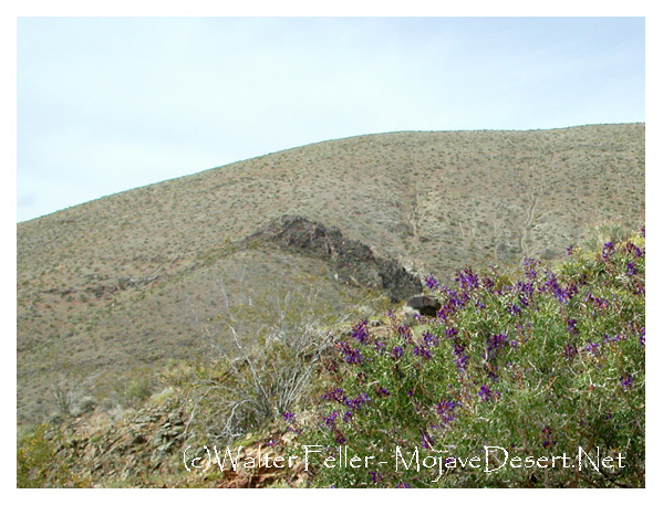 Scarp in El Paso Mountains along Garlock Fault