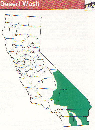 Shrub Dominated Wildlife Habitats