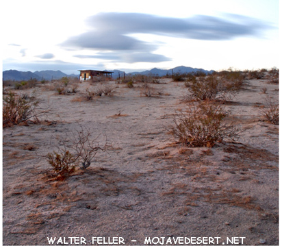 homesteader cabin in desert