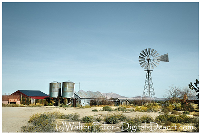 Mojave Desert Ranch photo