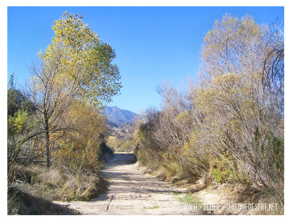 Photo of possible alignment of Brown's Toll Road in the Cajon Pass