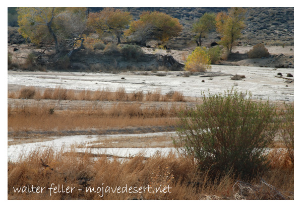 photo of Lane's Crossing in Oro Grande/ Victorville at Mojave River