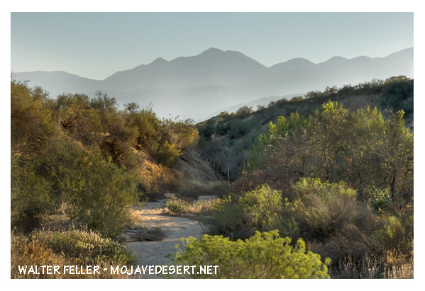 photo of Old Spanish Trail and path of Jedediah Smith descending Cajon Pass