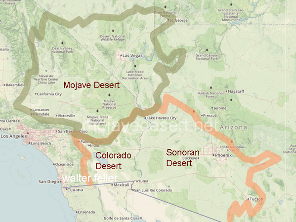 Sonoran And Mojave Desert Map Contrasts Between The Mojave And Colorado Deserts: Mojave Desert Plants