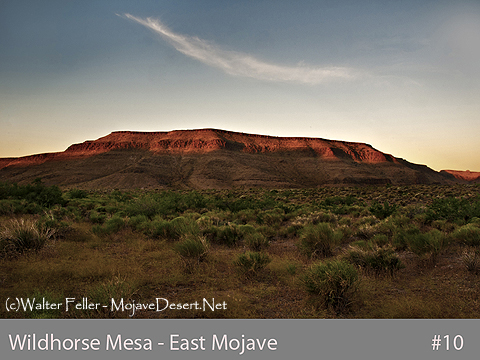 Wild Horse Mesa, Mojave Preserve