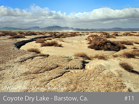 Coyote Dry Lake - Barstow, Ca