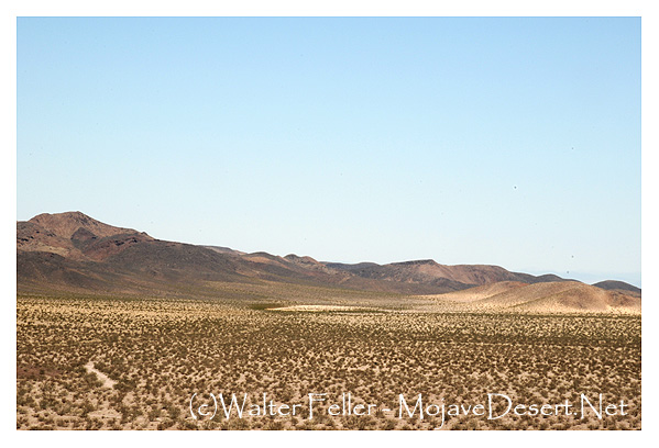 Photo of bolson, valley with playa/dry lake