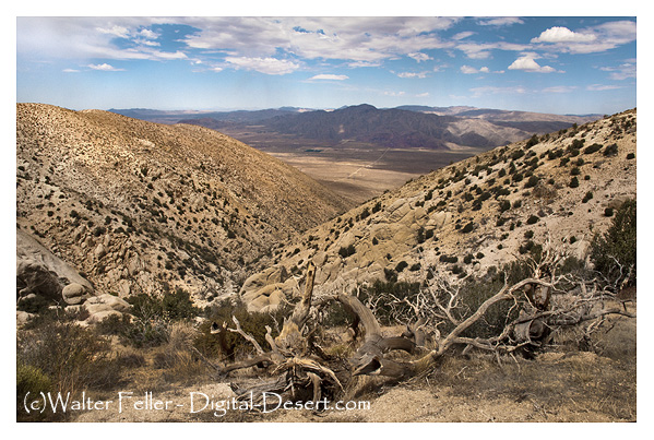 photo of canyon in Lucerne Valley