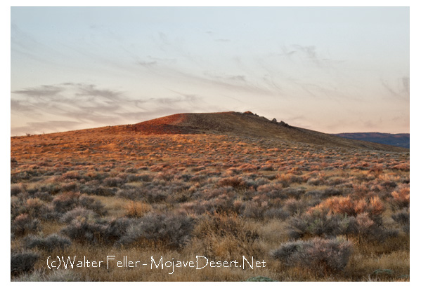 A knoll in the Antelope Valley at sunrise