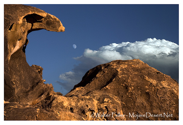 photo of abiotic objects in the Mojave Desert