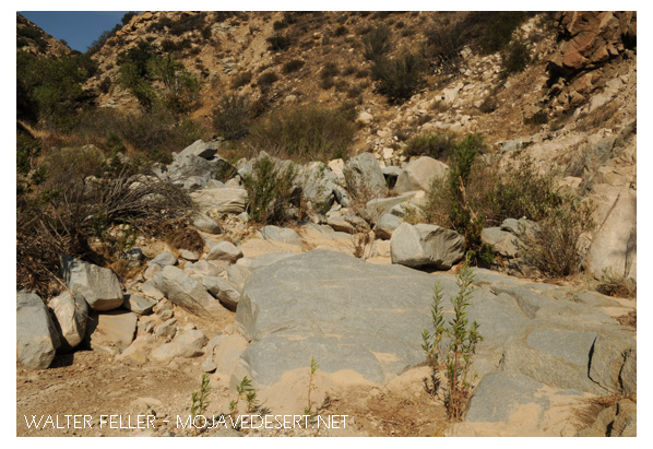 Crowder (Coyote) Canyon, where wagons would have to be taken apart to enter or leave the Cajon Pass