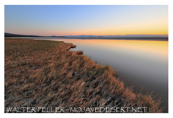 Soda Lake in the Mojave Preserve flooded