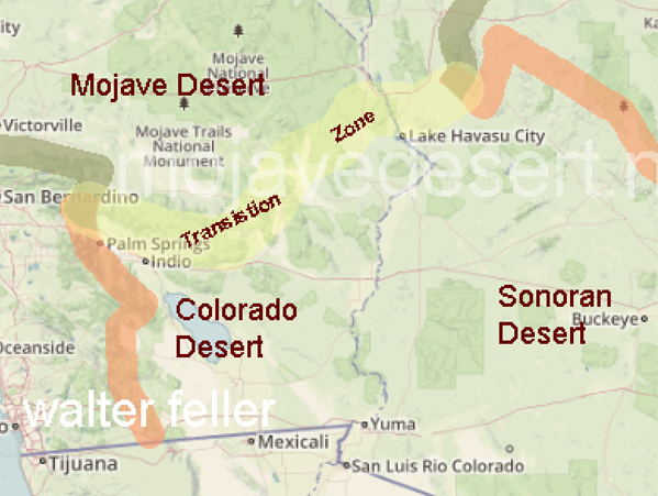 transition zone between Mojave & Colorado deserts